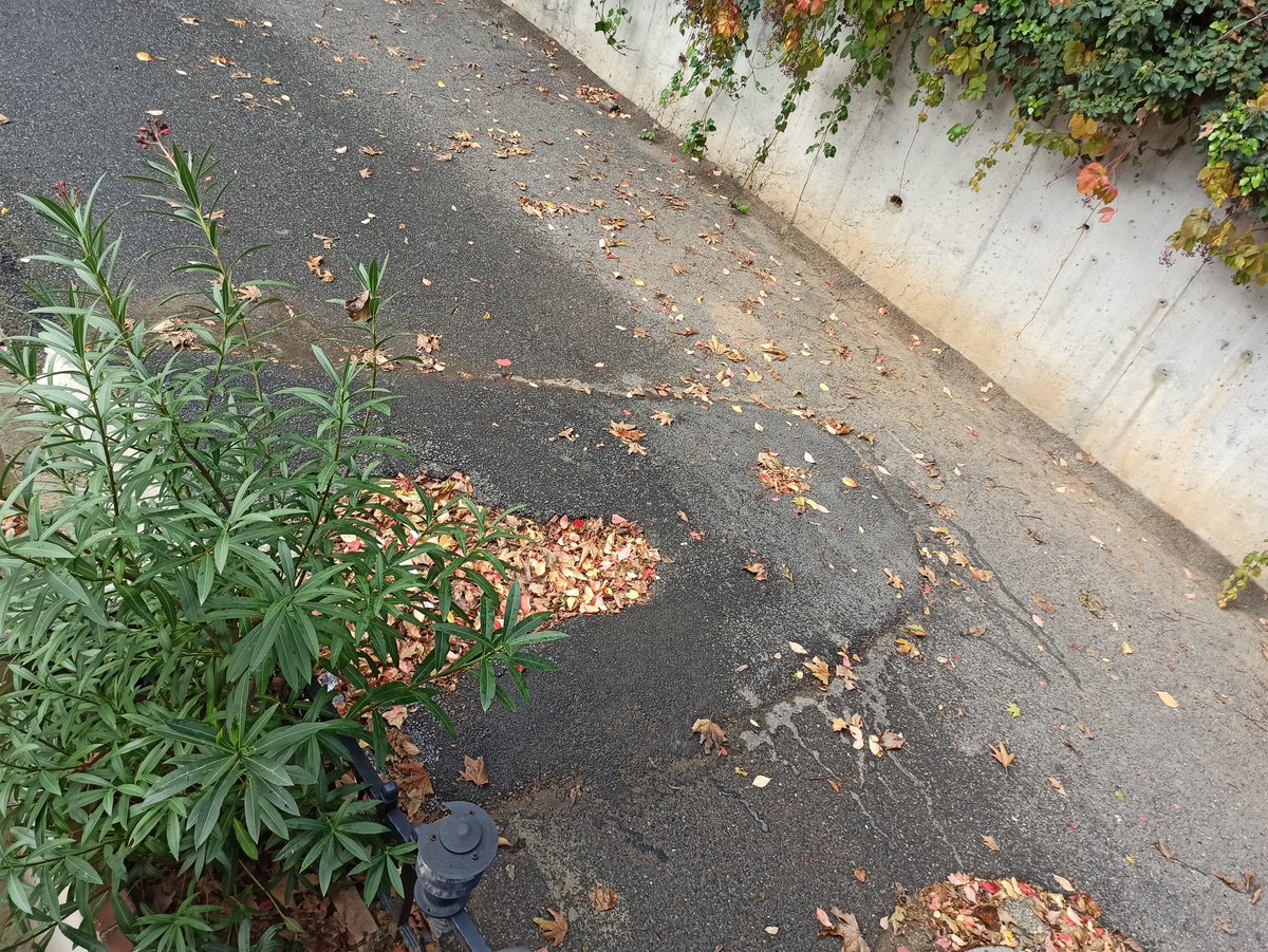 Sn. İlgililer Ümraniye K.karabekir Mah. Ersan Sk. da Haziran ayında evimin önünde <a href="/iskignmudurlugu/">İSKİ Genel Müdürlüğü</a> çalışma yaptı 4 ay geçmesine rağmen asfalt çalışması yapılmadı @ibbBeyazmasa okadar şikayet etmeme rağmen hala gelen olmadı gereğinin yapılmasını rica ederim. <a href="/umraniyebeltr/">Ümraniye Belediyesi</a> <a href="/ibbPR/">İstanbullu</a>