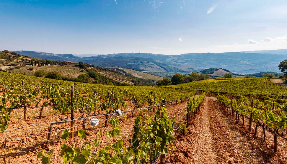 ConsBrunello's tweet photo. La storia di #TenutaSanGiorgio, l’altro gioiello del Gruppo #ColleMassari nella terra del #Brunello

https://t.co/VUNmXiNnIc https://t.co/i3tCRWRdNM