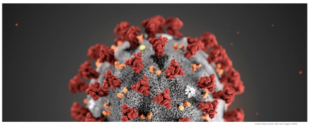 Fighting the global effort in protecting people from COVID-19, <a href="/copper3d_chile/">Copper3D_Chile</a> Cuprionix® materials have been validated for effectiveness against Human #Coronavirus bit.ly/3eLv6r3 

#3dprinting #additivemanufacturing #medical #3dprintingmaterials <a href="/Copper3D_Global/">Copper3D Antimicrobial Nanocomposites</a>