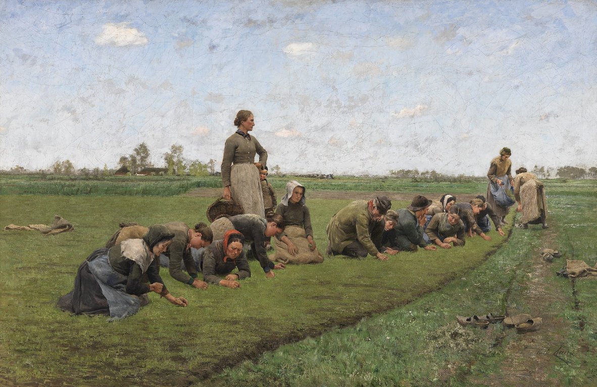 #BuenosDiasATodos 

Emile Claus - Flaxwieden and Flanders (1887).
#Belgianpainter