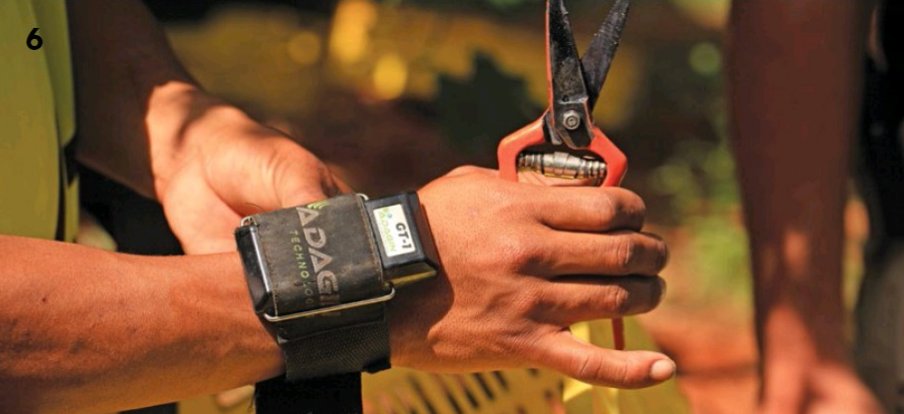 AdaginT's tweet photo. Winners of the Olifant River’s Table Grape Block Competition, Uitkyk Farm believes in the details:
“Adagin Technologies…allows us to monitor the quality of our grapes &amp; identify weaknesses in the vineyard”.
https://t.co/pI5S8rFTtM

#agritech #precisionfarming #traceability https://t.co/IJ76SjO7Vh