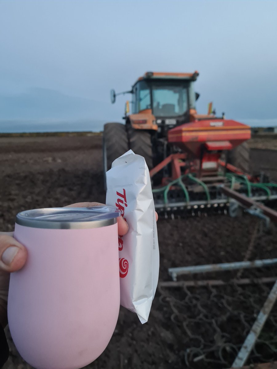 Must haves for the night and hokonui country