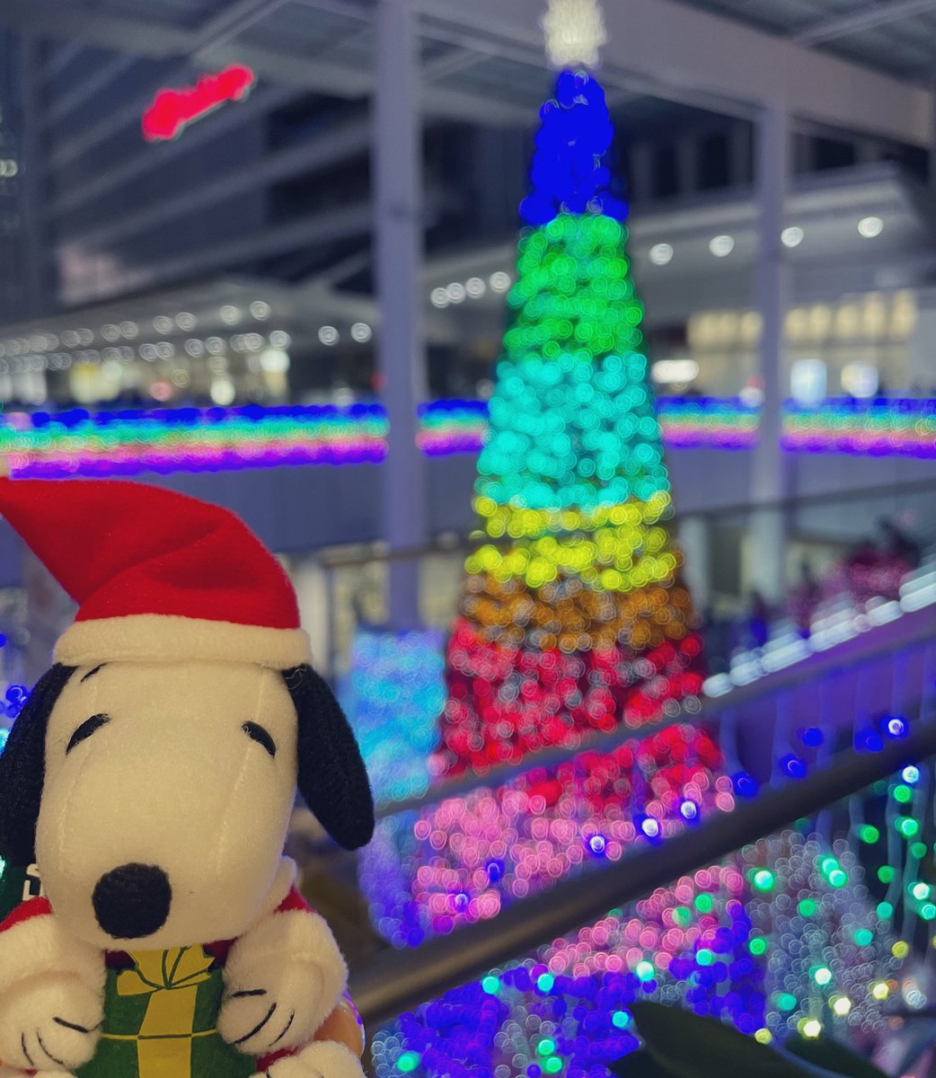 スヌーピー男子 今年もクリスマスイルミネーションの季節がやってきました サンタコスチュームのスヌーピーをお迎えしてツリーと光るブロッコリーと記念撮影 スヌーピー男子 Peanuts Snoopy Peanuts70 ピーナッツ70