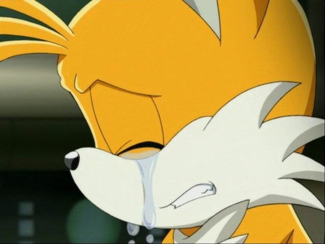 Sonic X Tails Crying