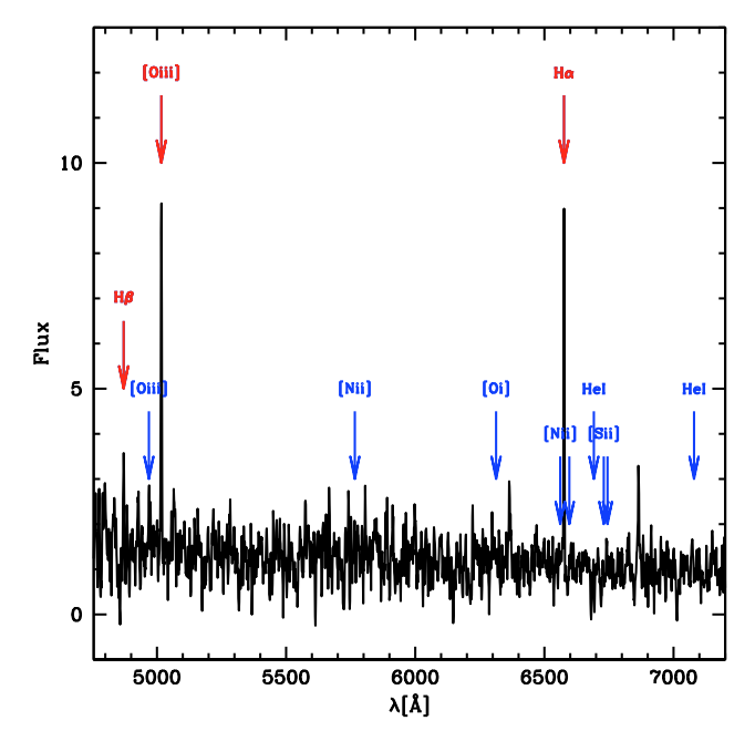 But we can not only find GCs, but even individual stars in the dwarfs. Okay, ONE individual star, which is a planetary nebula (PN). But still. that is fricking cool. Here is the spectrum of one such PNe candidate. The OIII and Halpha are really indicative.
