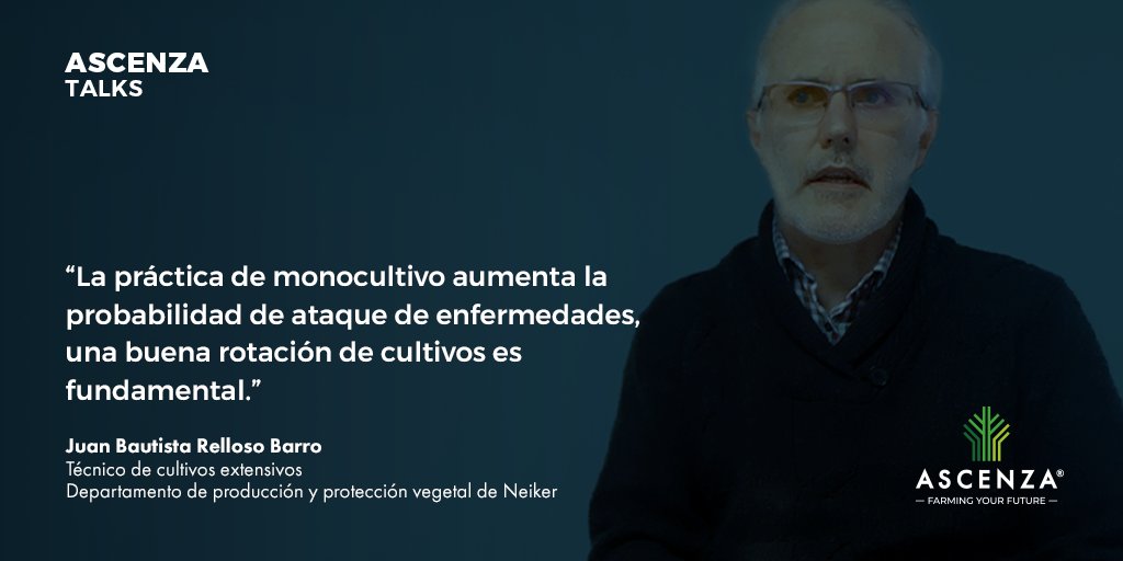ASCENZAEspana's tweet image. 👉🏻 👉🏻 Te invitamos a visitar nuestra web ascenzatalks.com y escuchar el resumen de la #ASCENZATALK del cultivo de #Cereal de Juan Bautista Relloso Barrio, técnico en #NEIKER, acerca de enfermedades fungicas. 🔈🔈

#ASCENZATalks

#TudecidesASCENZA 
Porque eres #Imparable.