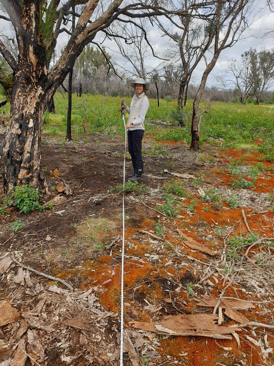 Mike_PHCC tweet media