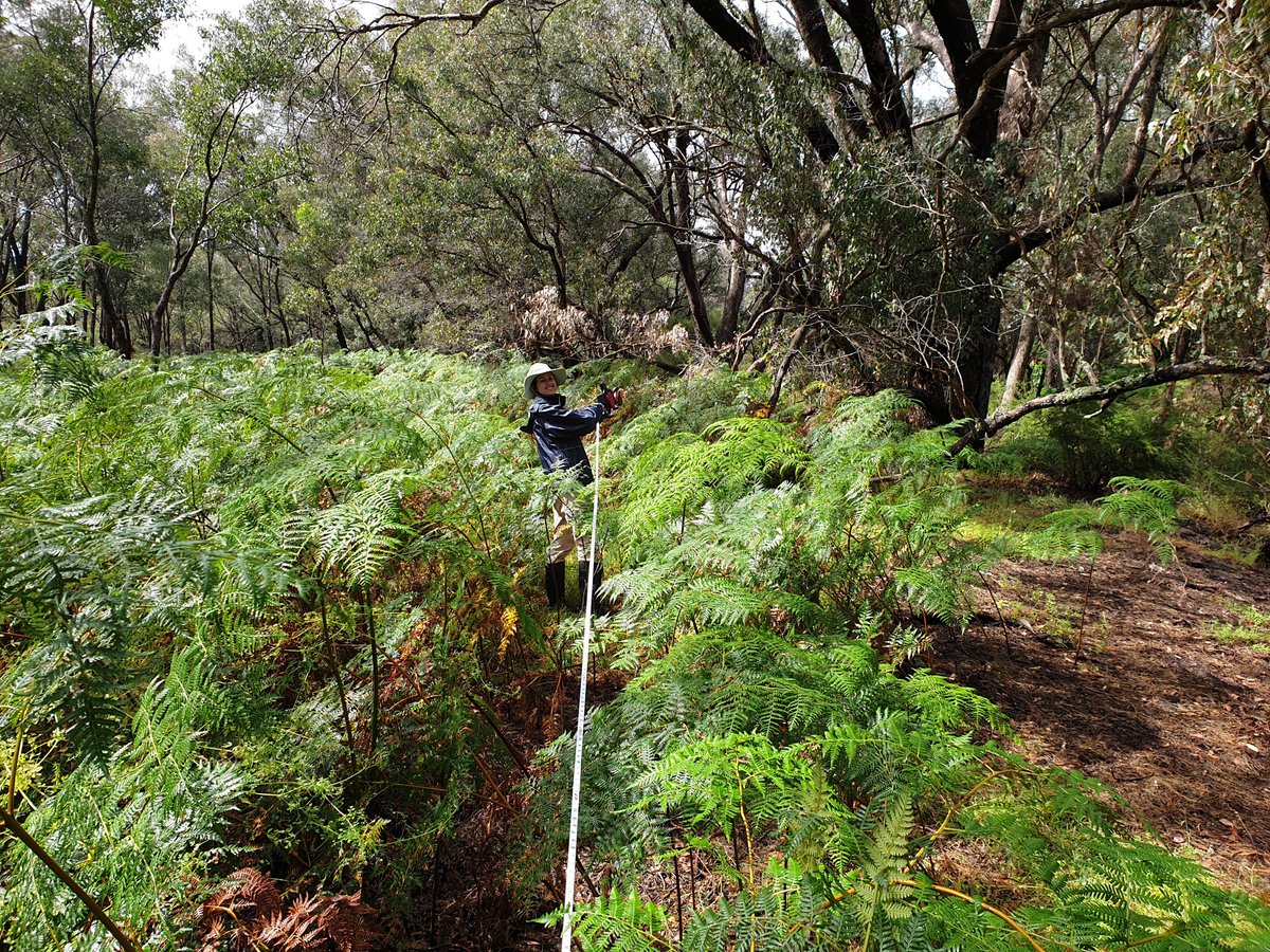 Mike_PHCC tweet media