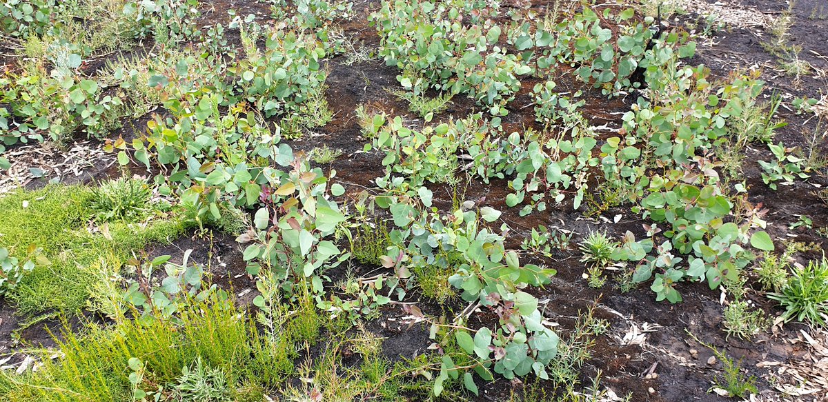 Mike_PHCC tweet media