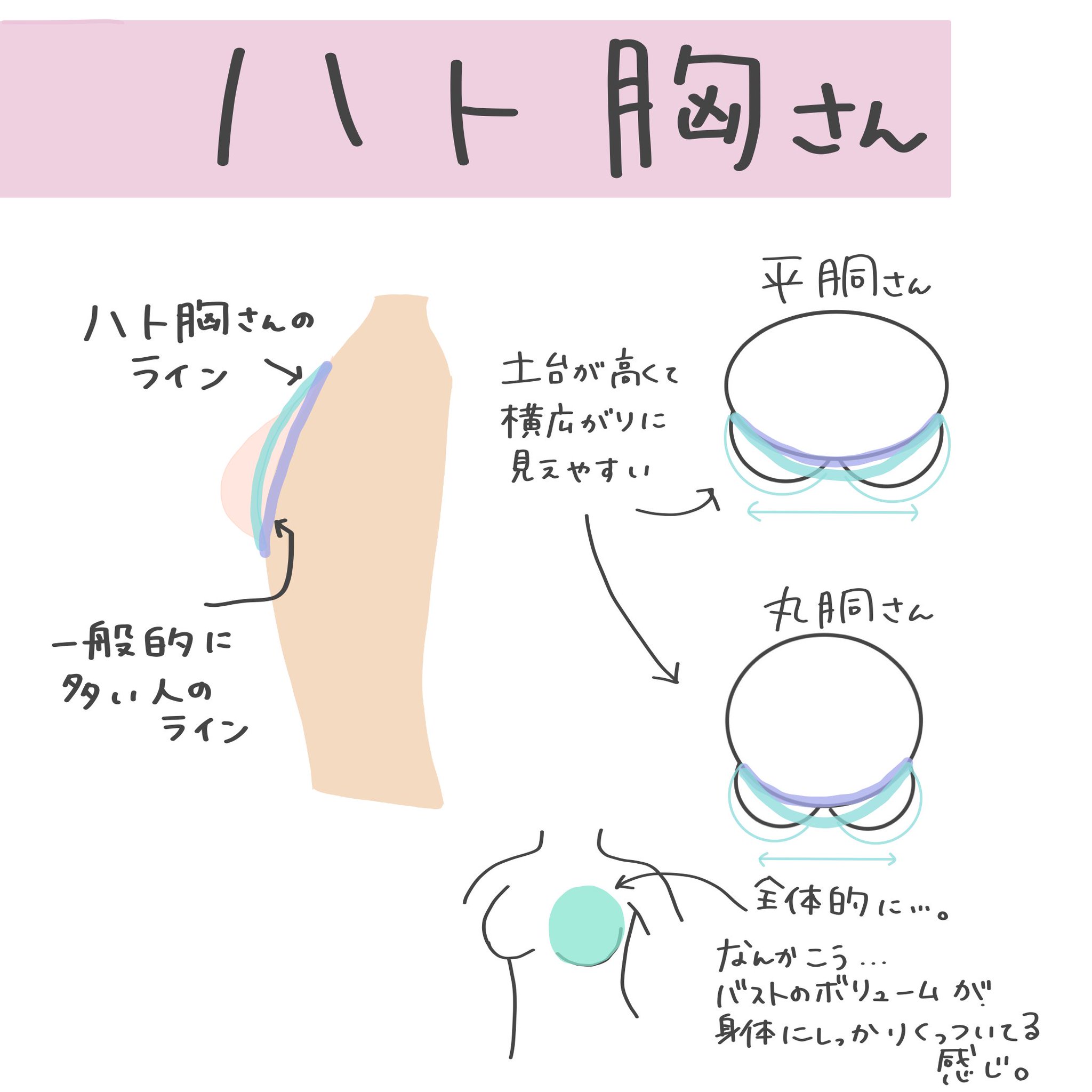 横に広がる バスト