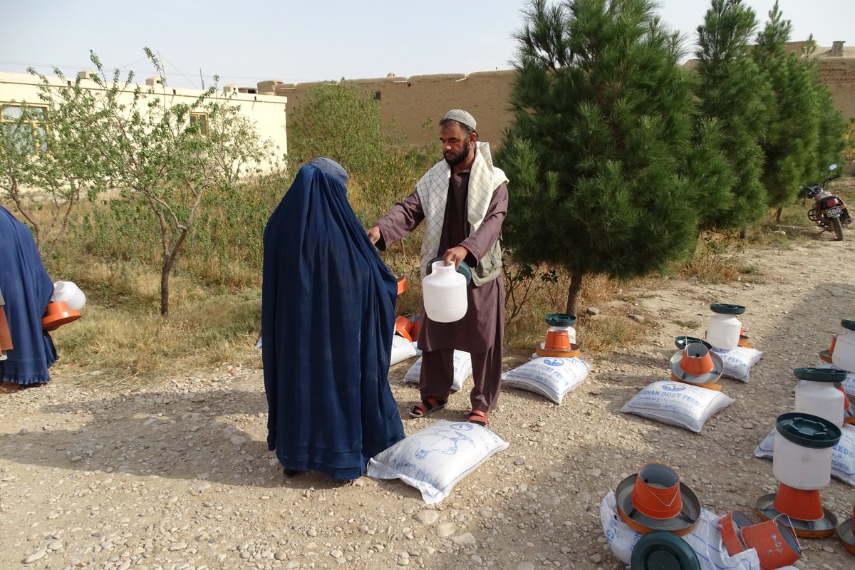 مجموعه اسباب و لوازم مرغداری برای 325 دهقان ذکور و اناث توسط موسسه انکشافی سنایی در برنامه پایدارسازی اقتصاد خانواده ها از طریق تطابق و راه های بدیل معیشت در ولایت بلخ توزیع گردید و دهاقین بخاطر بهبود امرار معیشت شان از موسسه انکشافی سنایی سپاسگذاری کردند.