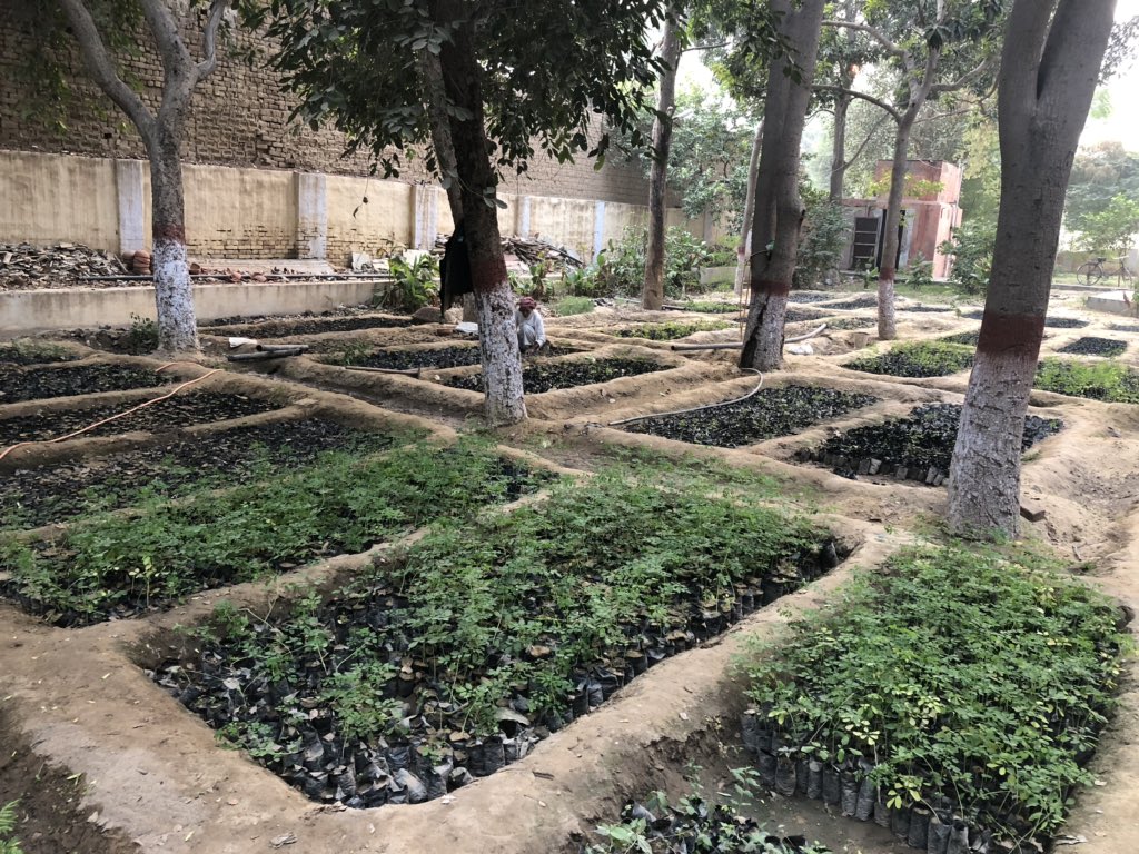 #PeopleNursery is basic necessity for community driven plantation. This is our second people’s nursery at #Raisinghnagar, first is in #Bikaner. Anyone can get saplings free of cost from these nurseries.
#FamilialForestry #PeopleFor2030 
@IndiaClimCollab #ClimateEmpowerment
