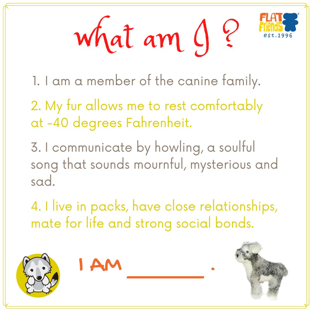 Can you guess What I Am?🙋🏻‍♀️🙋‍♂️⁠
⁠
⁠You can find me on flatfriends.com.au⁠
⁠
⁠
#lambskin  #babycomforter  #babysleeping⁠
#giftsforkids  #babygift  #australiansheepskin ⁠
#earlylearning  #earlychildhood #educatinaltoys #playtolearn⁠