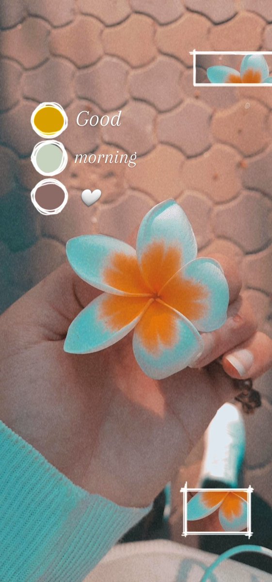 ๐๐โ๐๐๐ข๐-๐๐๐๐๐ โ๐ข (@almashmahmoud) on Twitter photo #morning ..๐ค๐ฅ #morning ..๐ค๐ฅ