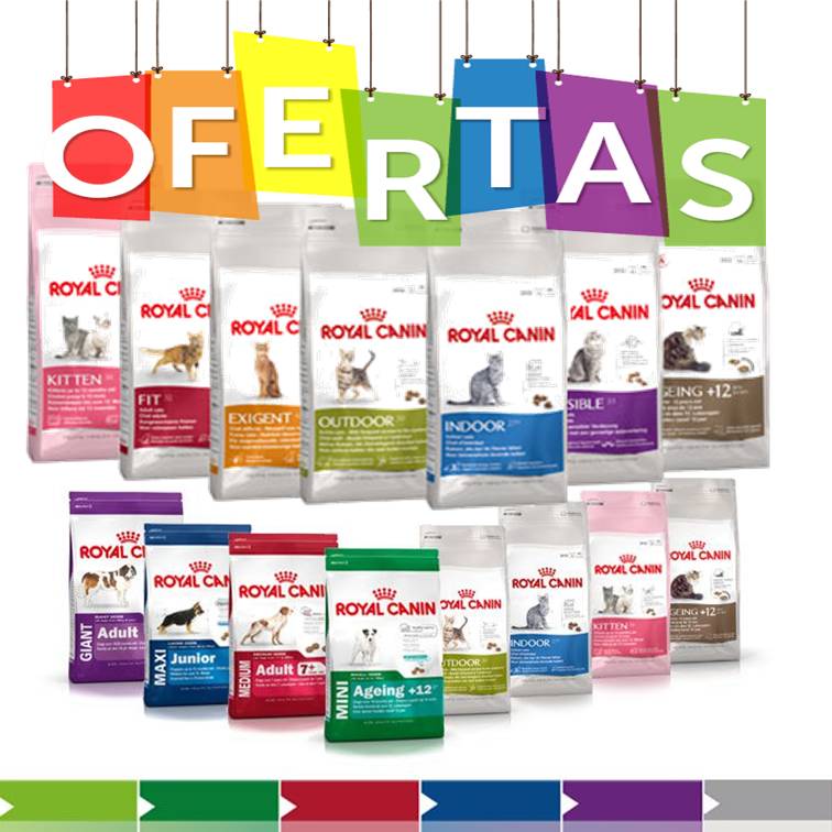 PerrosyGatosNet's tweet photo. #hoy #11Noviembre te deseamos un #FelizDia tenemos en nuestra tienda online unas maravillosas #ofertas en comida para #Mascotas si estas en #España disfruta esta oportunidad 😃🐶🐱 https://t.co/RQ9ncu0uI8 https://t.co/D6c378d7NM