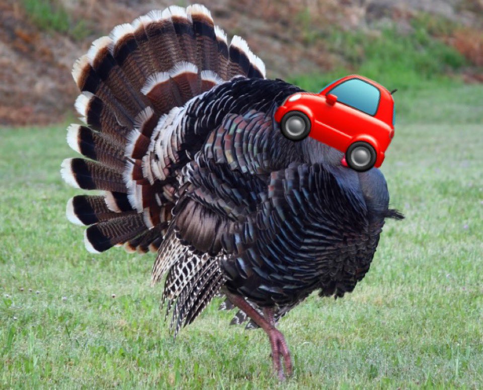 carvember