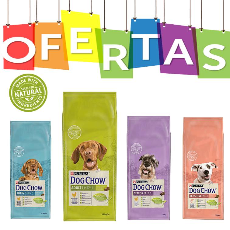 PerrosyGatosNet's tweet photo. #hoy #11Noviembre te deseamos un #FelizDia tenemos en nuestra tienda online unas maravillosas #ofertas en comida para #Mascotas si estas en #España disfruta esta oportunidad 😃🐶🐱 https://t.co/RQ9ncu0uI8 https://t.co/15Qu3SBnQW