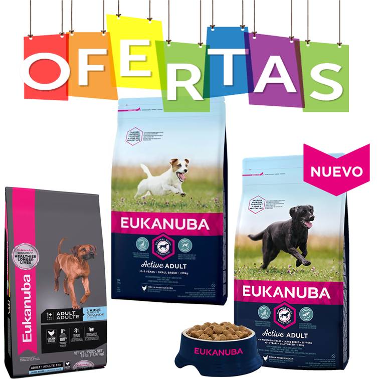 PerrosyGatosNet's tweet photo. #hoy #11Noviembre te deseamos un #FelizMiercoles  tenemos en nuestra tienda online unas maravillosas #ofertas en comida para #Mascotas si estas en #España disfruta esta oportunidad 😃🐶🐱 https://t.co/RQ9ncui66I https://t.co/SMdWYPxdw6