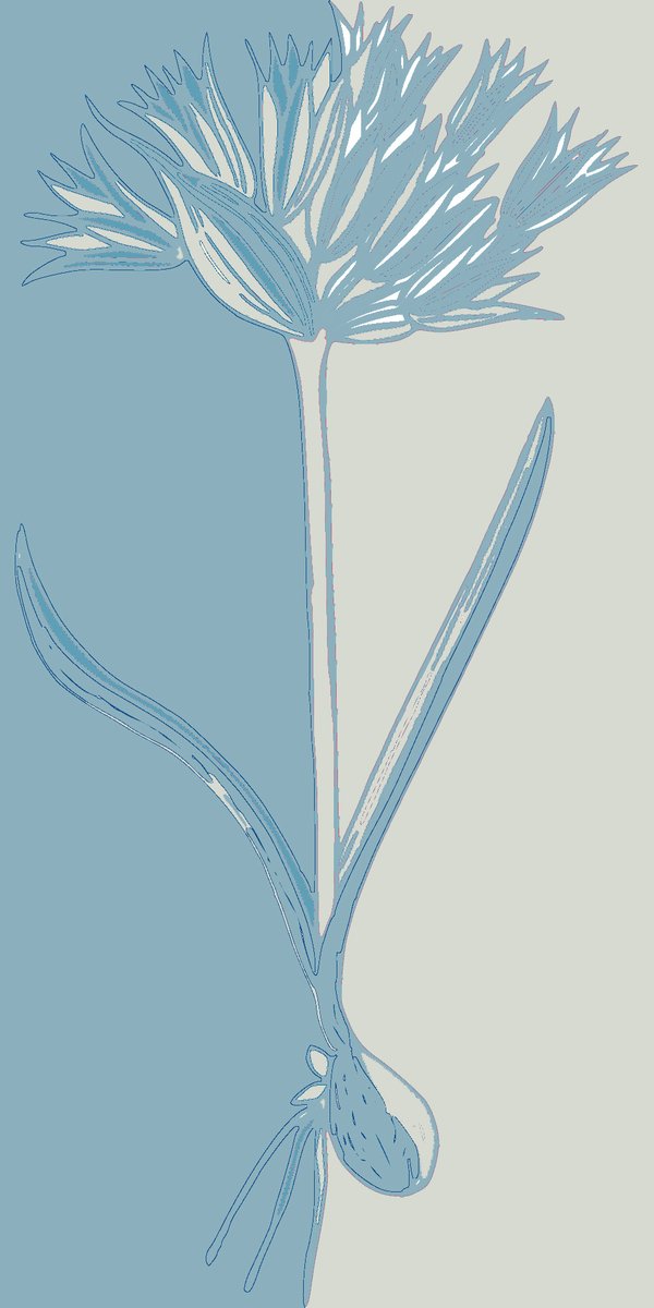 Good evening CPR, don't forget-- Allium's giveaway is still going on! Be one of the first submissions and have your choice of any of Columbia College's 3 lit mags! (including an issue of CPR, Hair Trigger, or Punctuate!