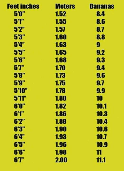 MillennialIll's tweet photo. This Sh*t is BANANAS B-a-n-a-n-a-s. I'm 9.9 bananas. 😎
#Banana #everythingsfine https://t.co/P7BRoYKh2e
