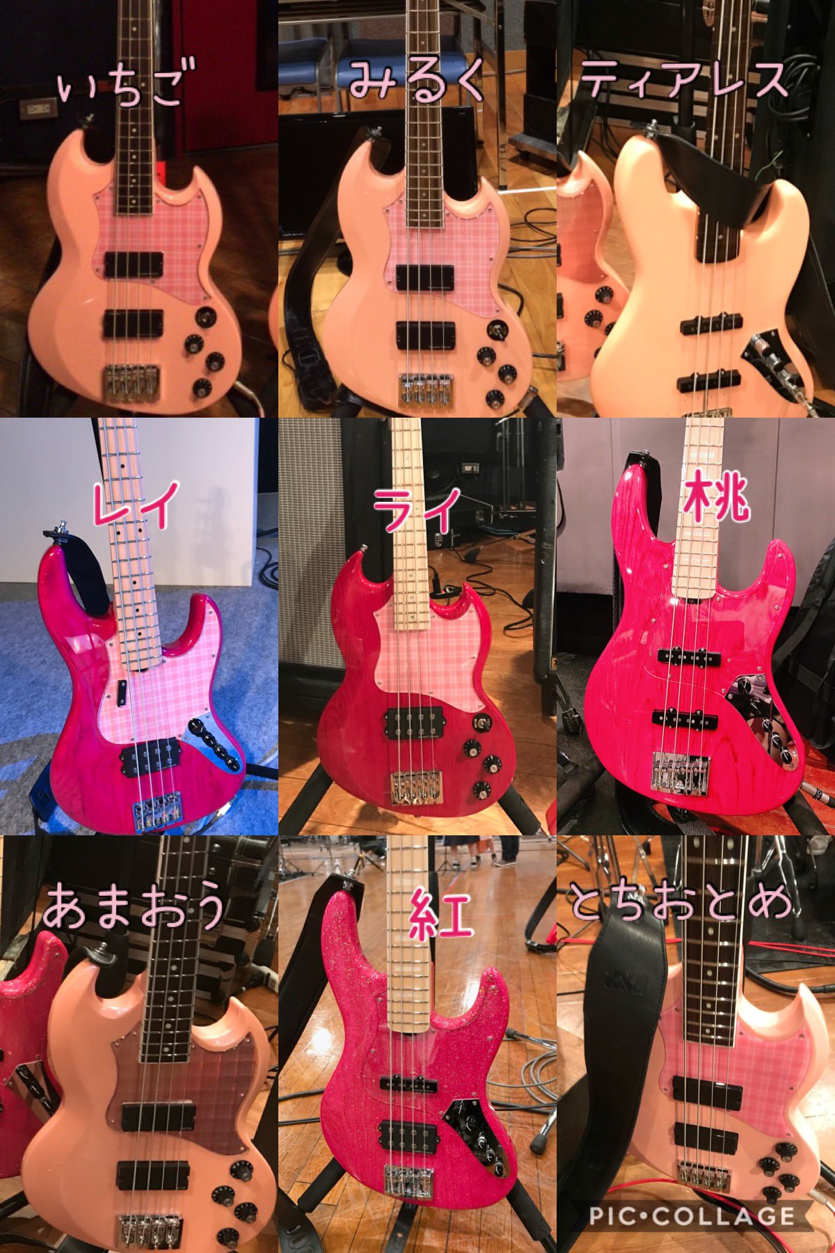 西本りみ 今日は ベースの日 なので 西本使用ベースちゃん達をば みるく いちご ティアレス レイ ライ 桃 あまおう 紅 とちおとめ 可愛い可愛い我が子たち 大切な相棒 ベースが無けりゃ 今の自分はいないので ベースちゃん