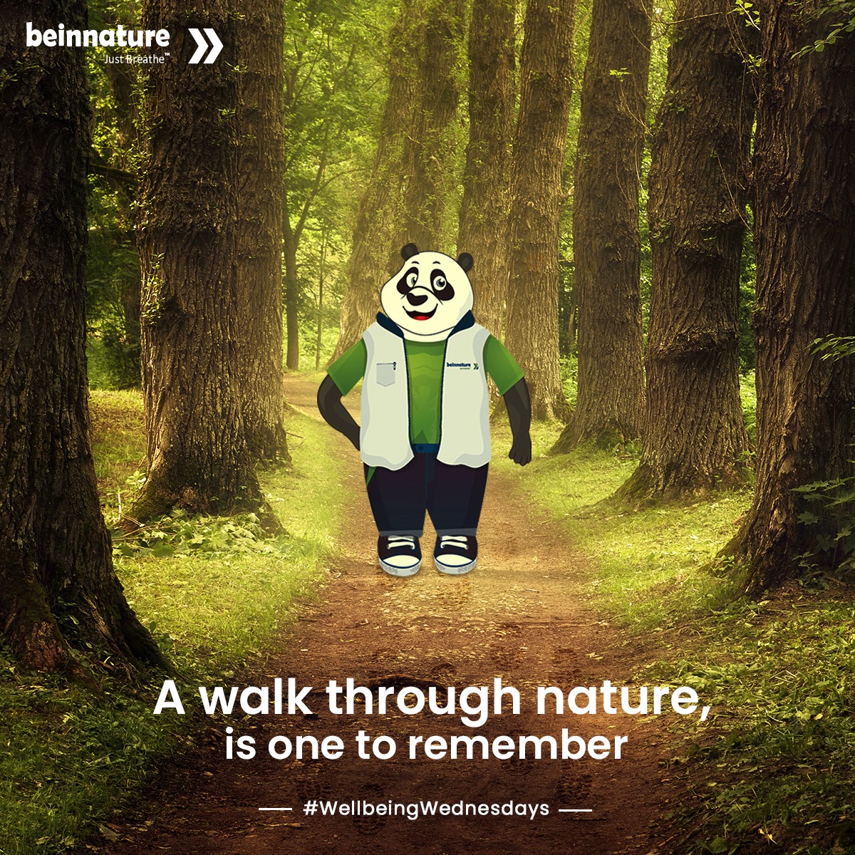 BeInNature1's tweet photo. When you need a change of #scenery, take a walk among #nature’s #greenery. How many of you enjoy a walk amidst nature? Comment 🤚🏼 if you do!

#WellbeingWednesdays #NatureWalk #WalkInNature #JustBreathe #BeInNature #EcoInnovative #Sustainability #Environment #AirPollution https://t.co/nZPTgAgAyF