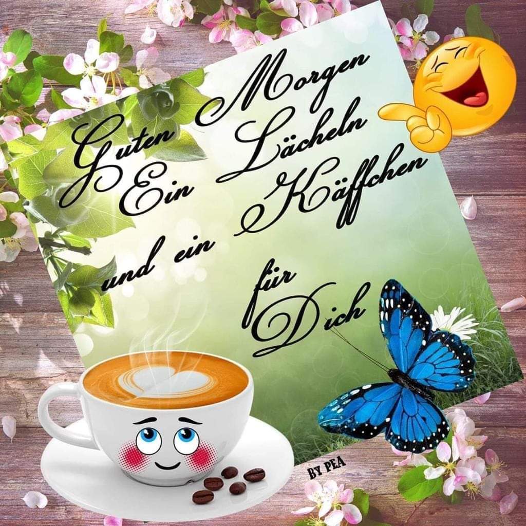 Добрый день по немецки. Фразы на немецком с переводом. Приветствия и прощания на немецком. Как по немецки добрый день. Открытки на немецком языке хорошего дня.