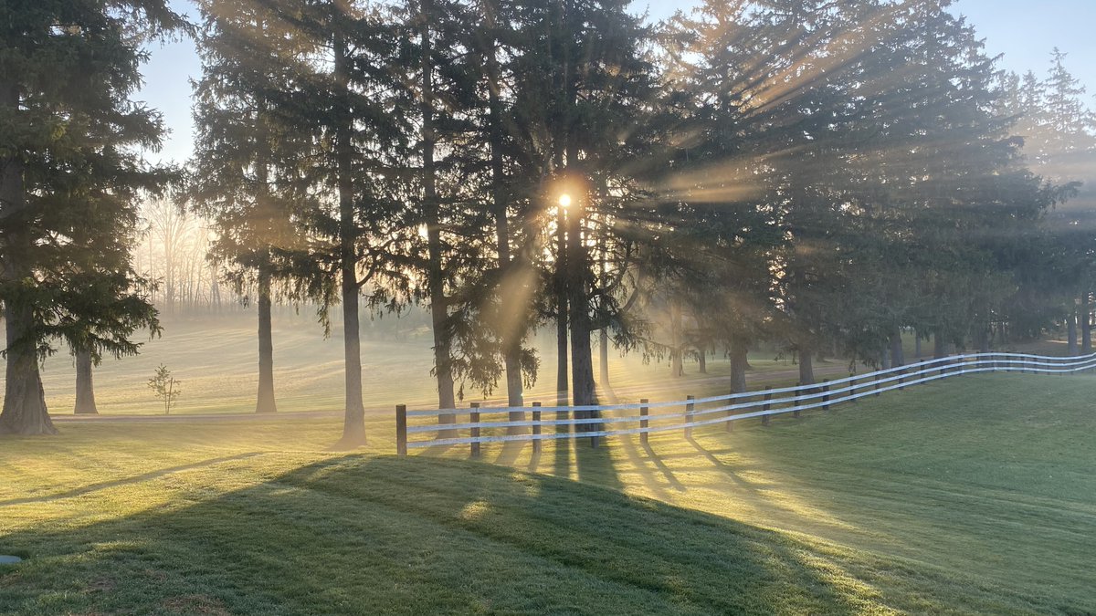 Brian van Adel (@drbvabrian) on Twitter photo 