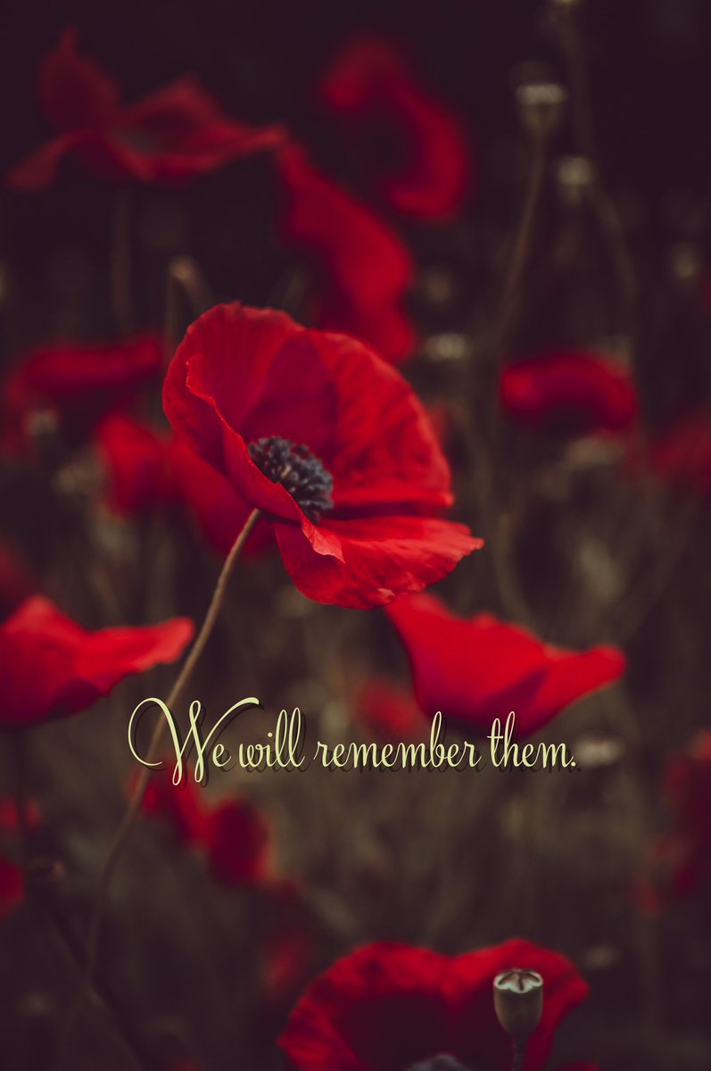 paulbrandt's tweet photo. We will remember them. 
#LestWeForget    
#RemembranceDay2020 https://t.co/FEulLLtkpx