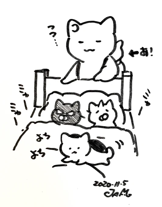今日の夕方ごろに、お知らせがあります('ω`)
どうぞよろしくお願い致します! 