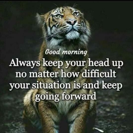 IamBalashan1980's tweet photo. #DailyTonic
@yctwriter
@RajanSinha
@KambojAnanya
@aquilbusrai
@Heavensnewbaby
@p_jegatha
@BSuhic
@ecclespenor
@srinathagathsya
@RossSwan2
@JoyAbdullah
@JeanetteJoy
@DaniGraceWrites
@Hippie_of_Love
@ShenaeChase
@LisaTruthJohns
@Earthles
@ledrew
@Yogicequanimity
@kathryninman9 https://t.co/ILFsoRVPht
