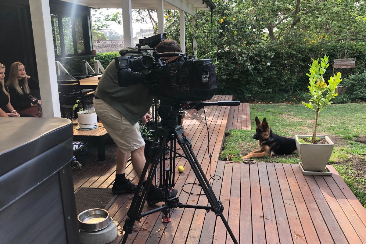 SharonWilliams_'s tweet photo. Dras helping the Channel 7 cameraman. It's a PR dogs life!
#SharonWilliams #germanshepherd #prlife #ontv #familytime https://t.co/M8l9w47Q3n