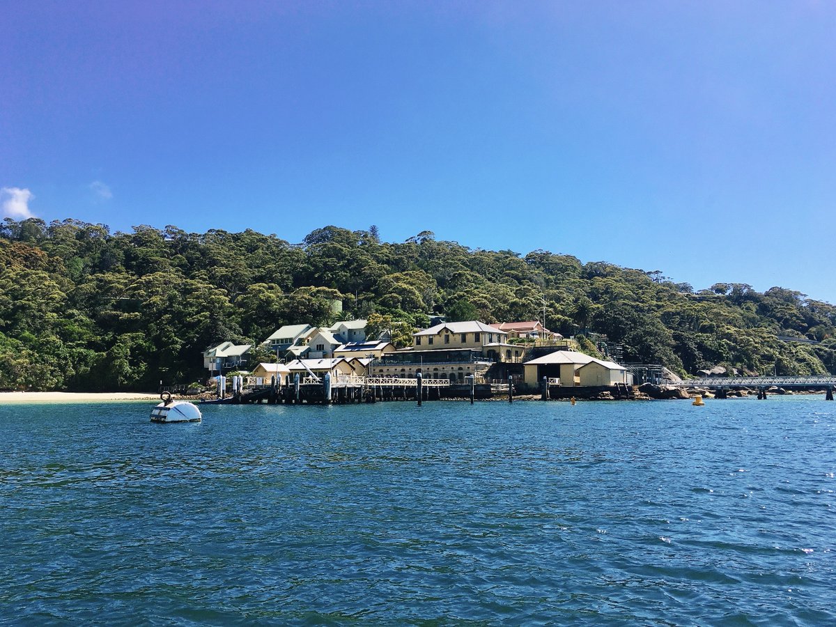joey_squishfish's tweet photo. Always a pleasure to be in the field with @AustmusResearch staff given current times. Our third and final #eDNA sampling event near the iconic #SydneyOperaHouse and brief fish surveys in #ChowderBay. Big thanks to @SydneyMarine for our smooth and efficient ride out and back! https://t.co/hqCIUSH0KO