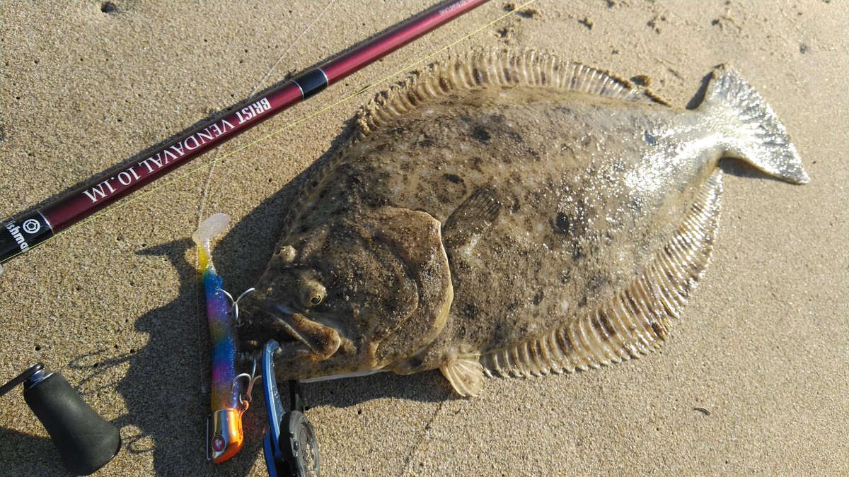 Nassan_723's tweet photo. バイトらしきものが出たとこにフォロー入れて狙い通りに( ˘ω˘)
#Fishmam #VENDAVAL101M
#ブルーブルー #ジョルティ https://t.co/jEyHtCma1r