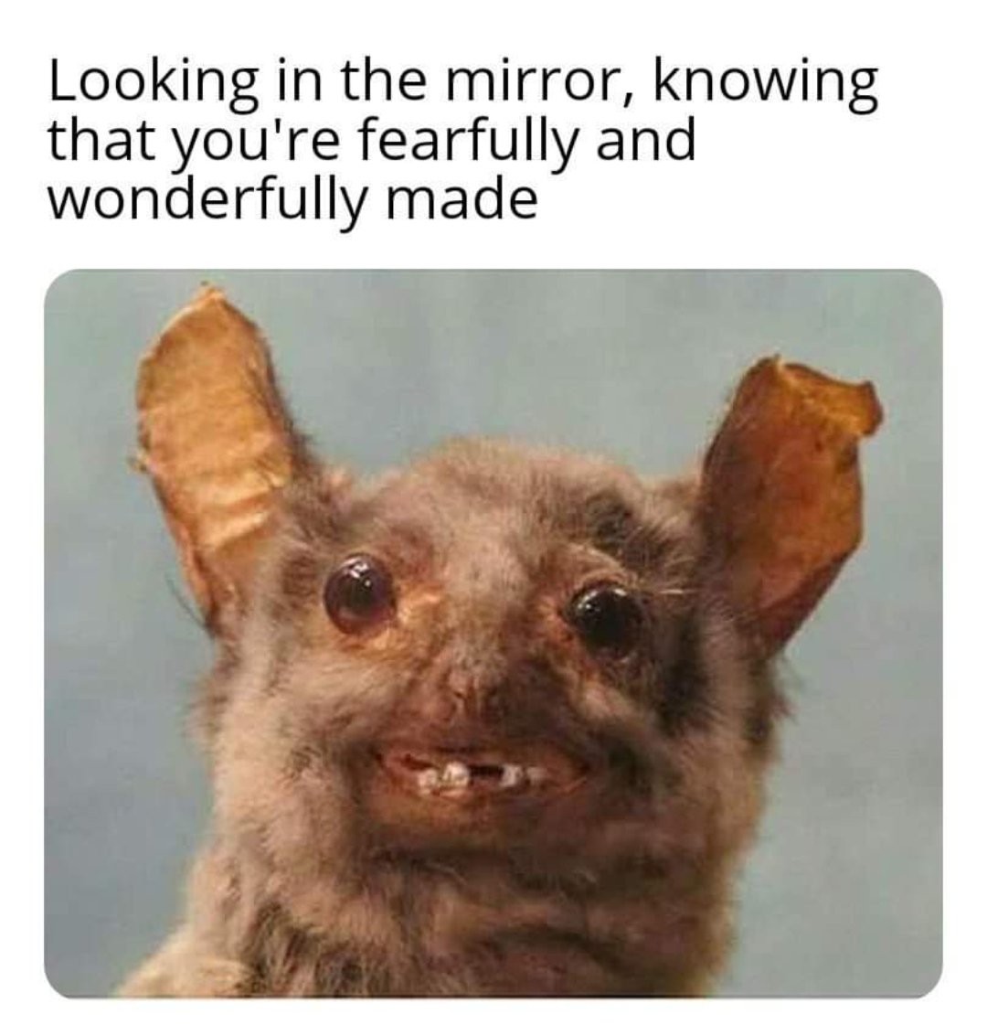 weare_cya's tweet photo. It really do be like that sometimes https://t.co/TFd953CM7a