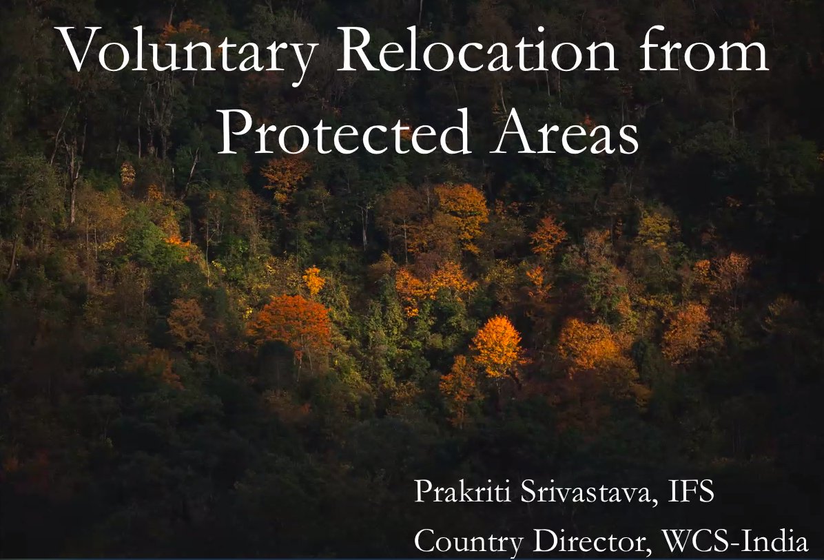 WCSIndia's tweet photo. "It is a democratic right of #people living inside protected areas to move out when they are willing to do so, in order to avail of better social &amp; economical benefits of #voluntaryrelocation." – Ms Prakriti Srivastava, our Country Director.

#ifs #forests #conservation #wildlife https://t.co/T0EFnyei6a