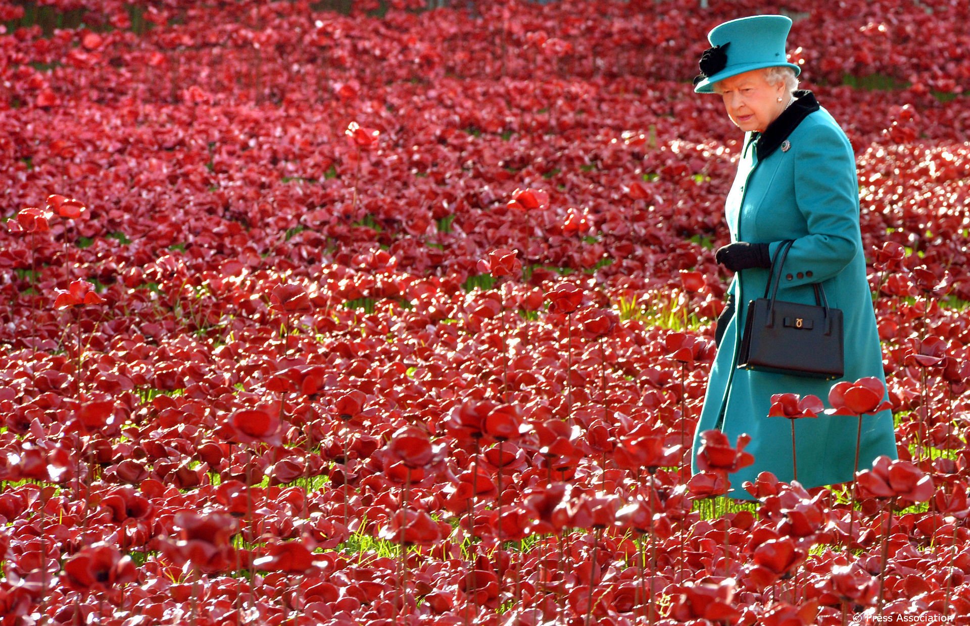 うめ コーンウォール派 日本ではポッキーの日の本日は イギリスでは赤いポピーの花で象徴されるリメンバランスデー このあと11時 日本時間の時 には戦没者を追悼する鐘が鳴らされる