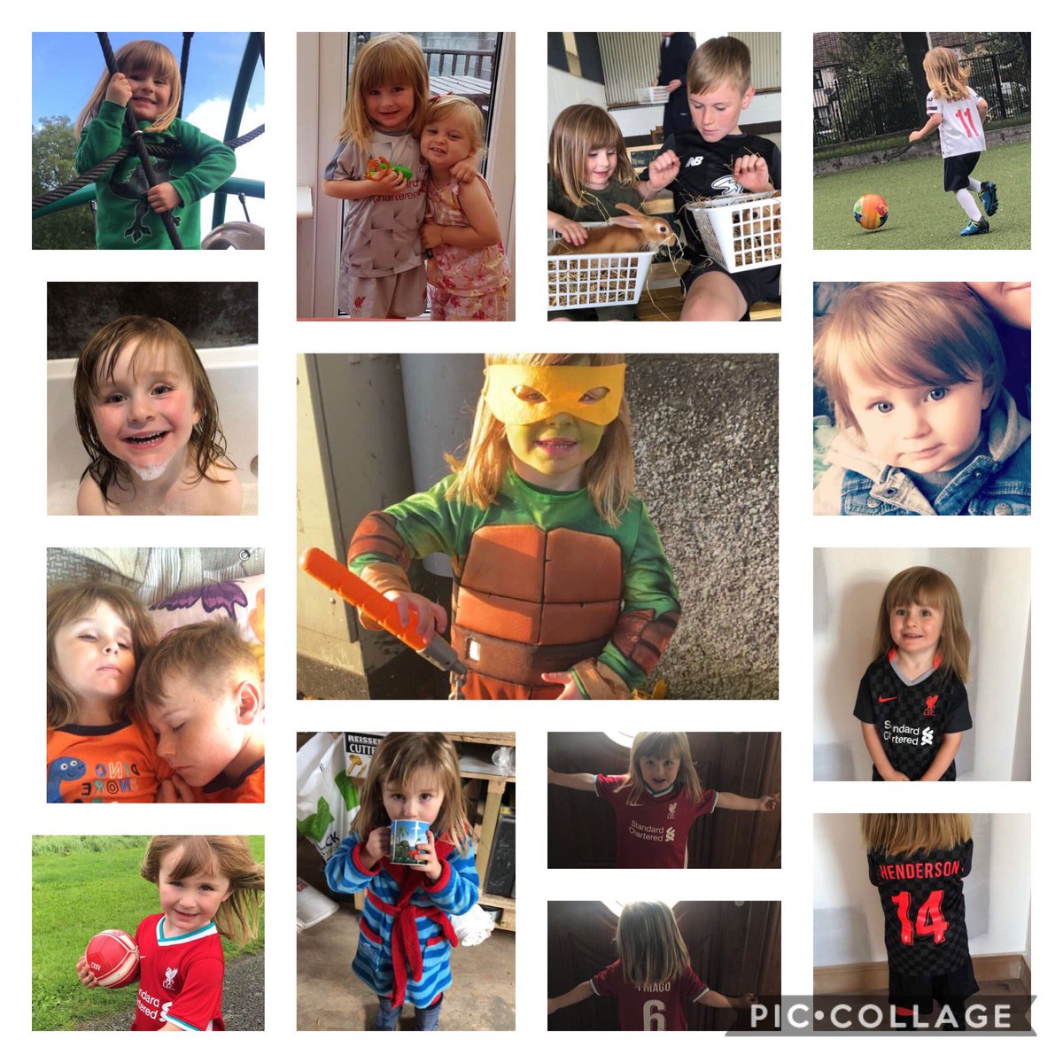 Liam Cummins tweet media