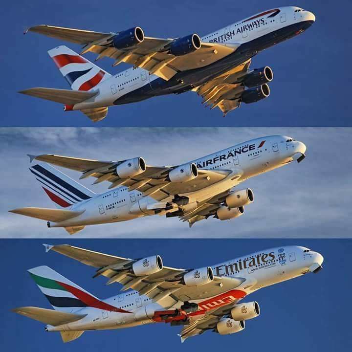 HistoryVille's tweet photo. If you left Auckland, New Zealand by airplane today (November 11), you would land in Hawaii, United States, yesterday (November 10). #HistoryVille https://t.co/WQBG9Ai4qr