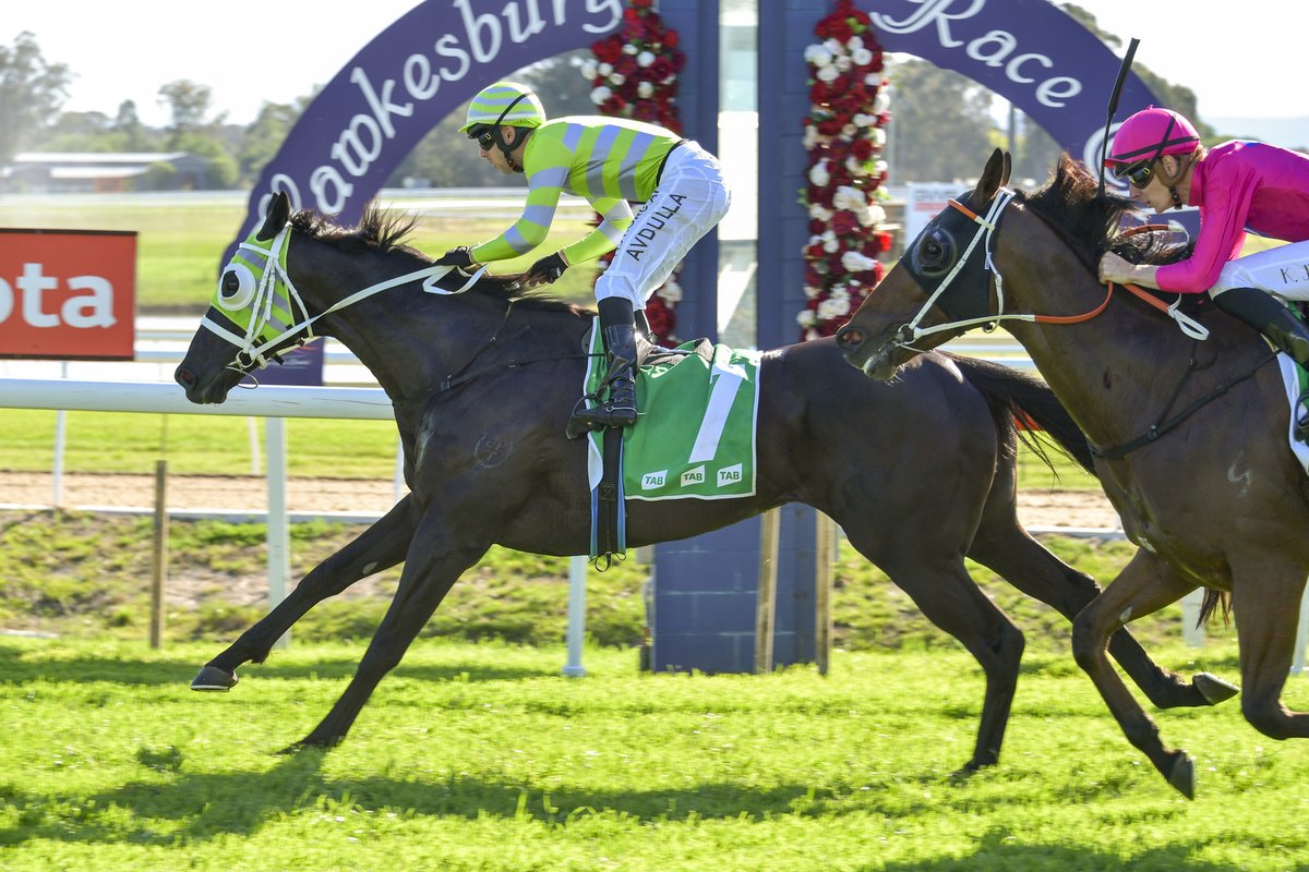 hawkesburyrc's tweet photo. #BlackOnGold beats home 2019 Hawkesbury Gold Cup winner #Archedemus and 2020 Listed Rowley Mile winner #Savacool to win the 2020 Listed Lander Toyota Ladies Day Cup for Chris Waller Racing and Brenton Avdulla!
Congratulations to the winning connections ๐ป ๐ฅ https://t.co/KgcFlioJFV