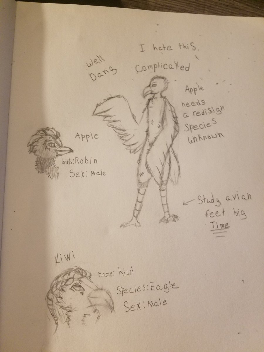 drizzle_berry's tweet photo. Alright well we're back to this doubt anyone's gonna view my horrible art but as long as its here Idrc #OC  #traditionalart  friend suggesting making Bird bois but honestly avians r hard https://t.co/L8vxZhSpnG