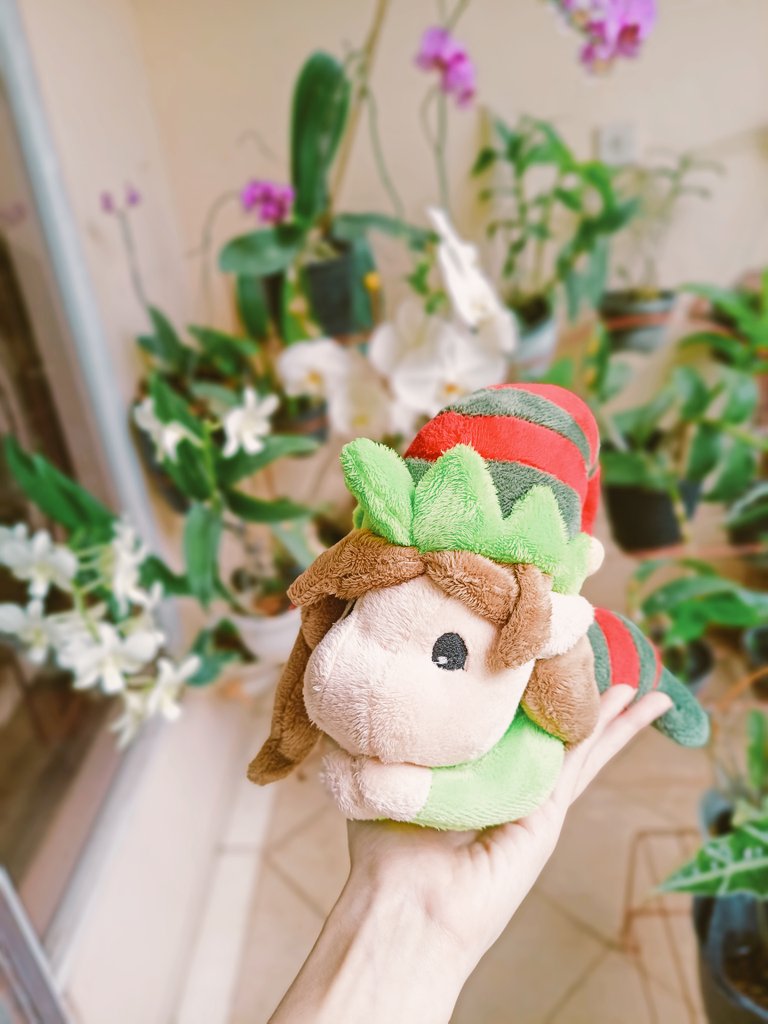 metanoia_rhea's tweet photo. Rhea misses you soooo much! Do you miss her too? https://t.co/EZH0zcCS7b