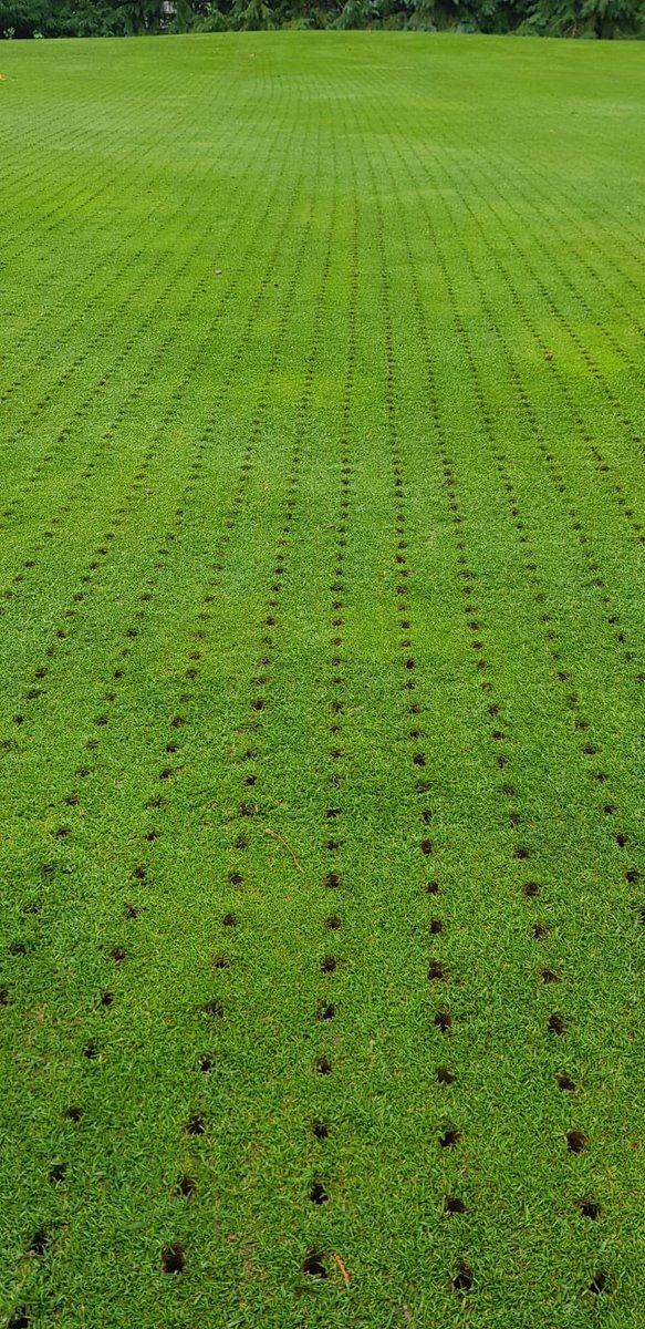 richjacq2609's tweet photo. Like most, we’re taking advantage of these unprecedented times to get some essential work done to the greens @mandngc #holesandsand https://t.co/vpXihas4hq