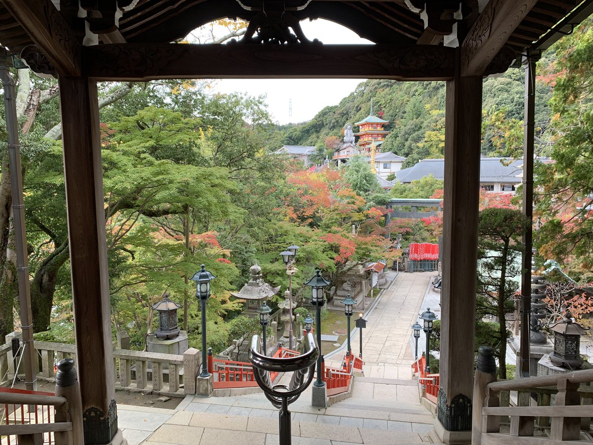 tourism_local's tweet photo. Iโm at Chogosonji.
Autumn leaves are at their best!
#nara #japanfall #autumnleaves https://t.co/wGtxFzF398