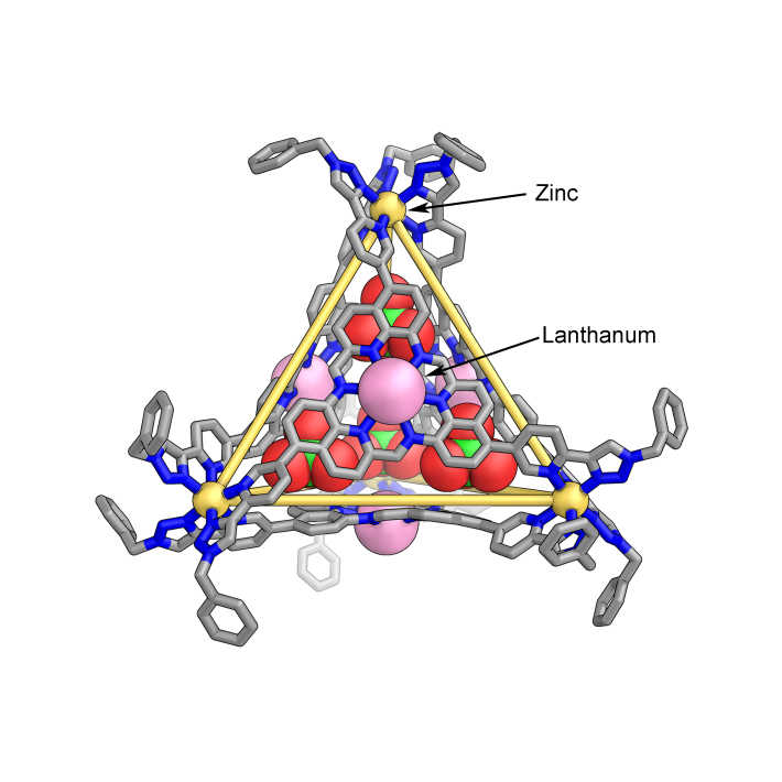 vkrbek's tweet photo. Check out these La(III)-Zn(II) cages:
https://t.co/mK89grMc8f
Great collaboration with my dear colleagues Dong Yang, @JakeyLG, @TanyaRonson. Favourite parts: the #crownether-like coordination unit for the La(III)s and the cooperativity.😁
Excited to see this out in @J_A_C_S! https://t.co/3i15v7leBy