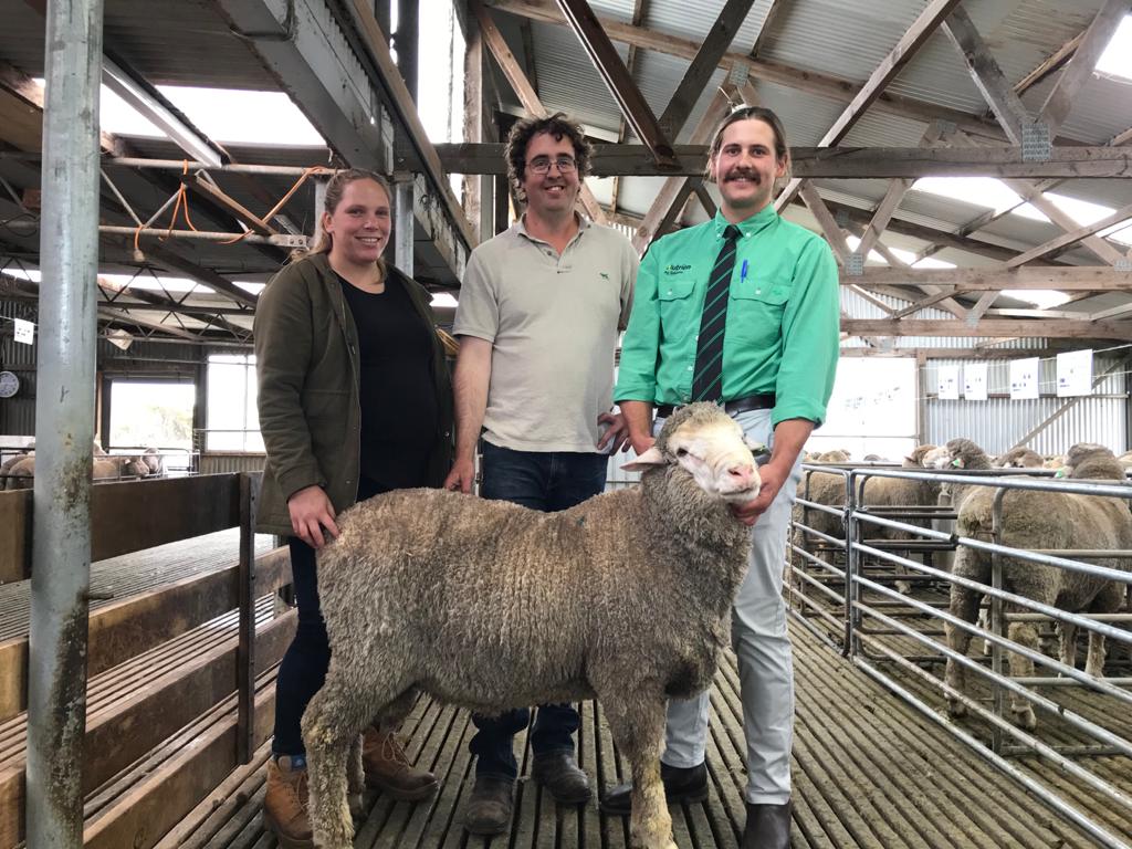 deep_dene_KI's tweet photo. Thank you to all clients and observers for your support at our Ram Sale last Friday! 
Congratulations  Simon @karingaKI for purchasing the top priced ram Lot 17 (19-0085) for $3500! Also congratulations to Alicia Cooper our bulk buyer for the day, purchasing 18 rams top of $3300! https://t.co/wK5003EatQ