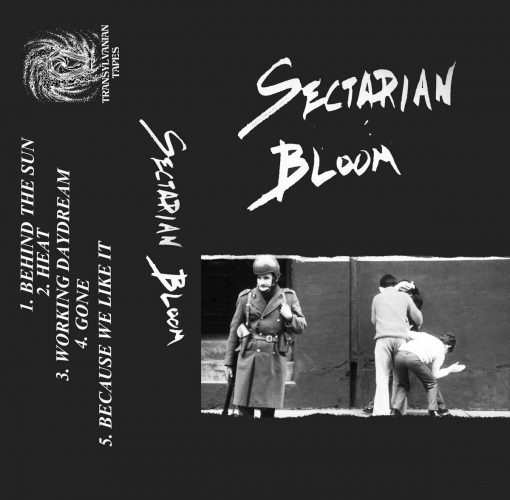 Sectarian Bloom; Sectarian Bloom. Dark post punk it says. The word you're looking for is goth, like early Sisters or The March Violets. The kind of goth that spent ages backcombing its hair, then ruined it by chucking itself about the dance floor. That's a good thing.