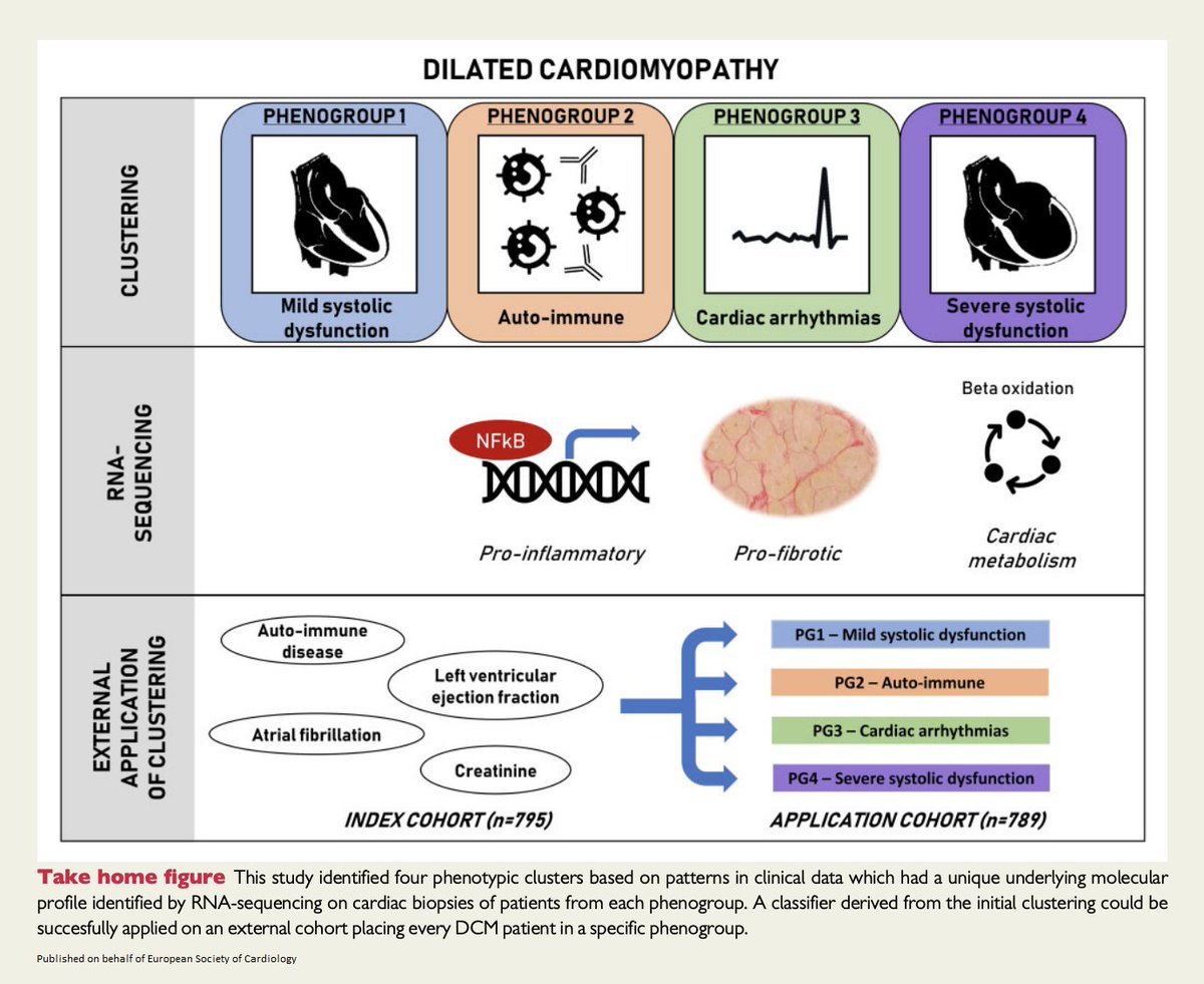 ESC_Journals's tweet photo. Four different dilated cardiomyopathy phenogroups paving the way for a more personalized treatment approach: PG1) mild systolic dysfunction; PG2) auto-immune; PG3) genetic and arrhythmias; PG4) severe systolic dysfunction https://t.co/58xRipLcMI 

@ehj_ed @rladeiraslopes 

#EHJ https://t.co/0jeK03HNoc