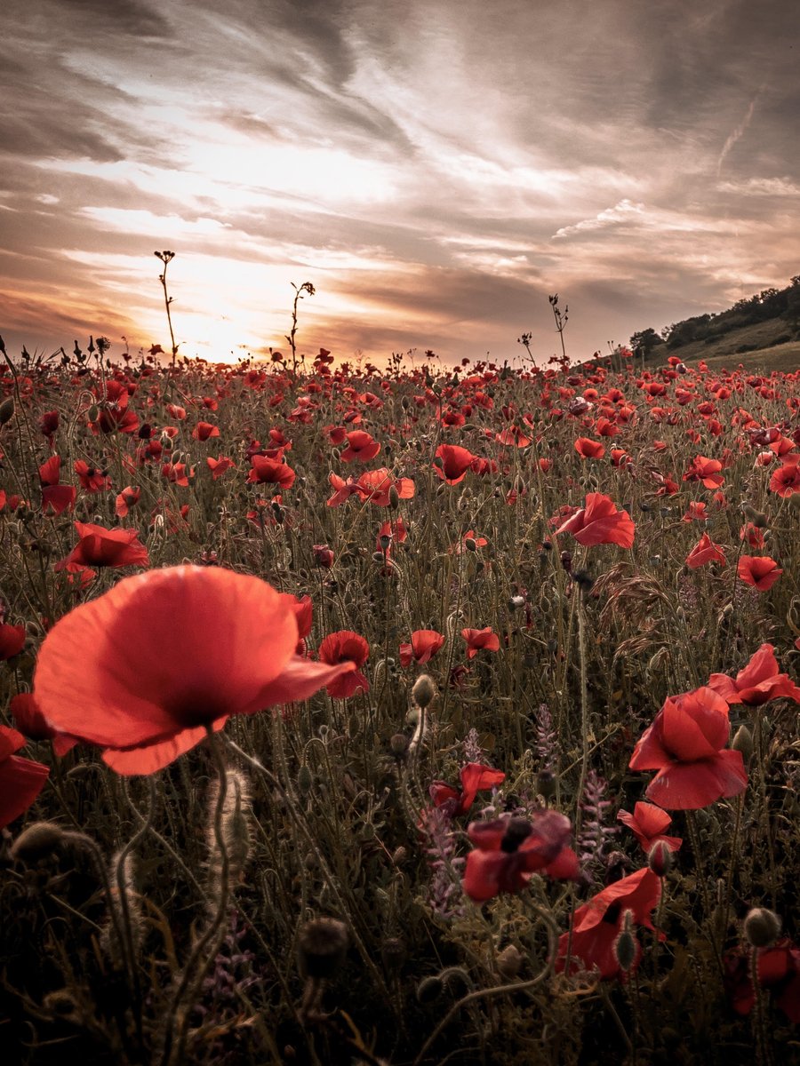 BBC South East tweet media