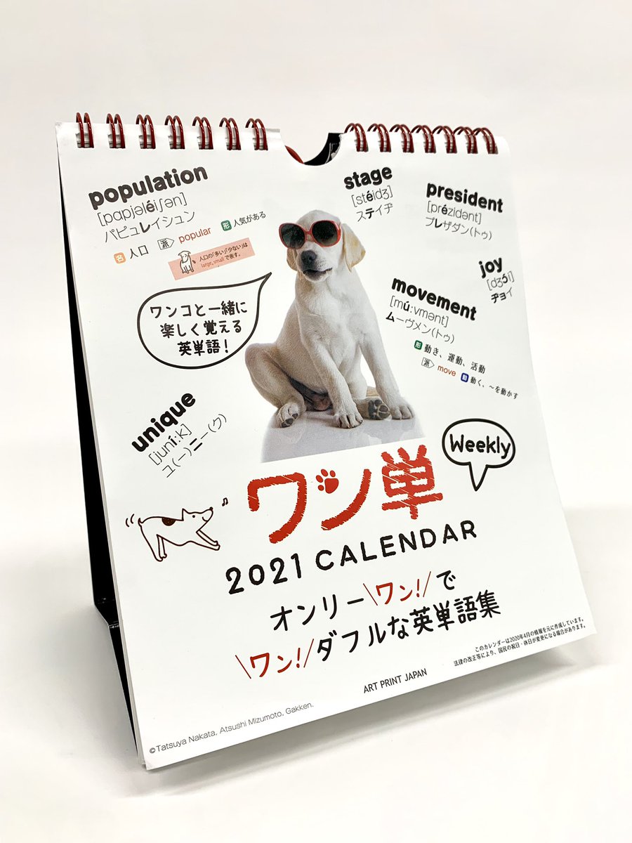 梅田ロフト Sur Twitter おうちで楽しく学べる 楽しみながら 癒されながら ワン ダブルにレッスンできる英単語カレンダーが登場 ワンコ目線の例文がなんともじわっときます ワン単 週めくりカレンダー 税込1 485円 4階 インテリア売場